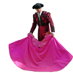 bullfighter-6068848_1920